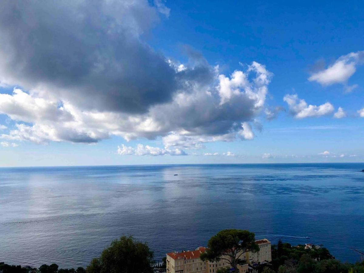 Apartment Viangella - Dramatic Sea View! Floor 2km To Monaco
