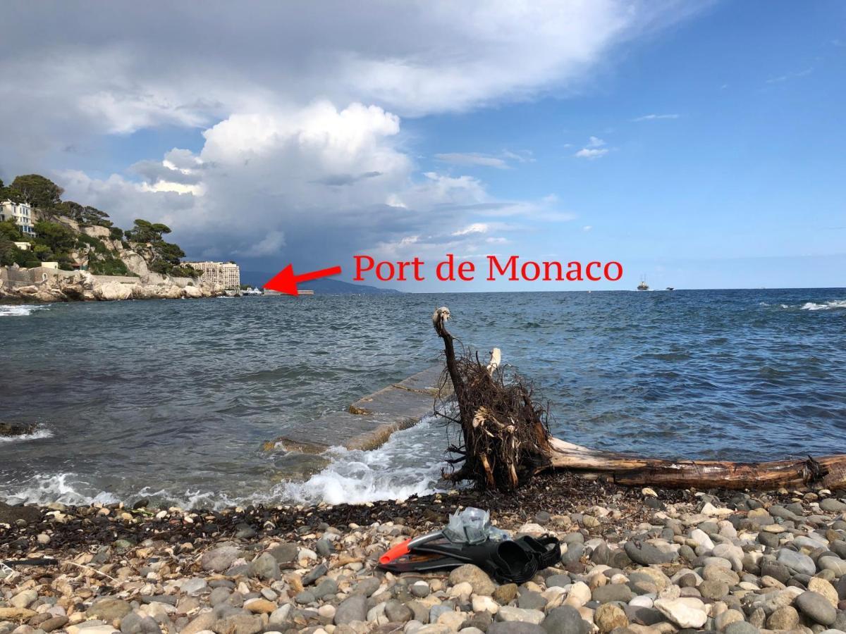 Apartment Viangella - Dramatic Sea View! Floor 2km To Monaco Cap-d'Ail